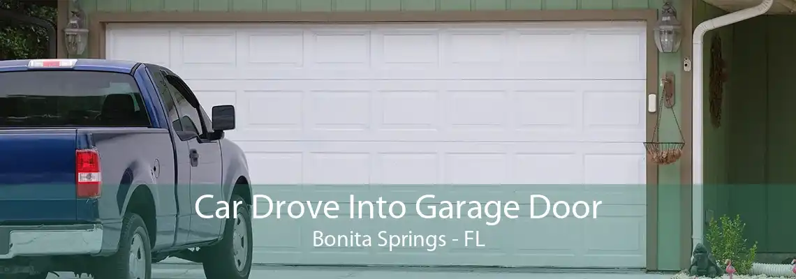 Car Drove Into Garage Door Bonita Springs - FL