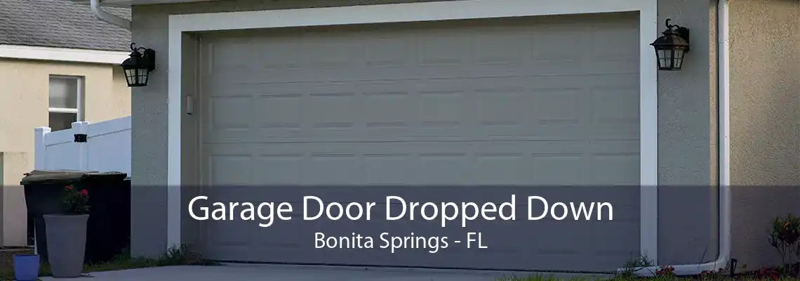 Garage Door Dropped Down Bonita Springs - FL