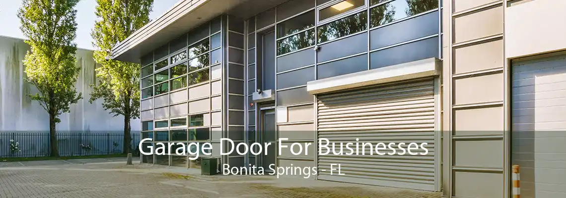 Garage Door For Businesses Bonita Springs - FL