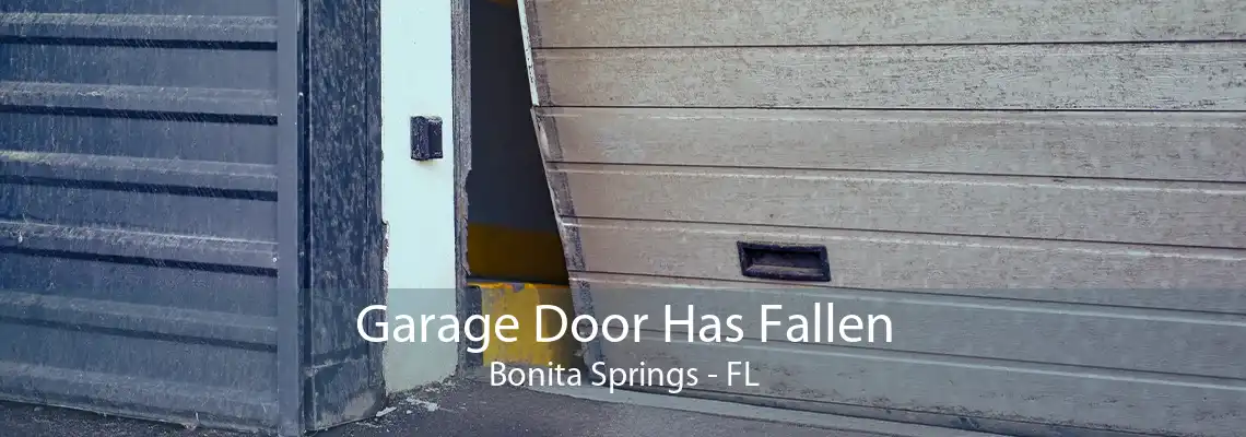 Garage Door Has Fallen Bonita Springs - FL