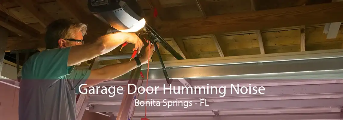 Garage Door Humming Noise Bonita Springs - FL