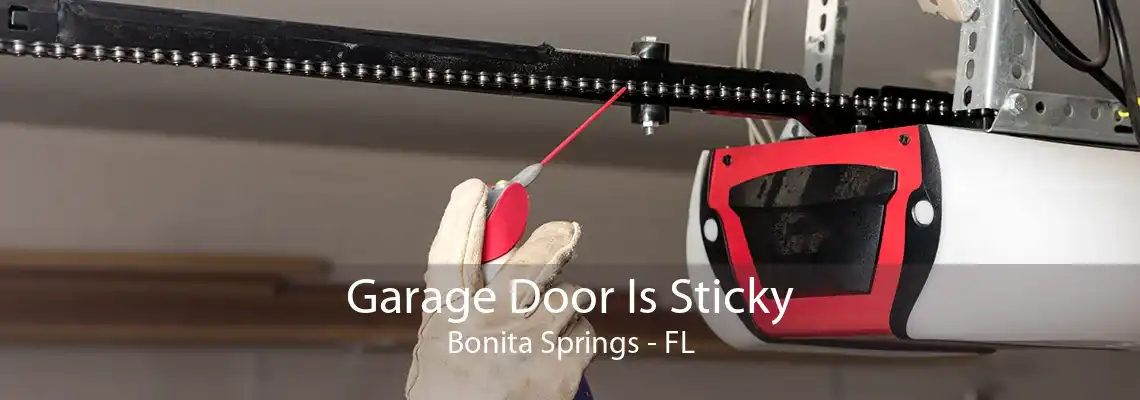 Garage Door Is Sticky Bonita Springs - FL