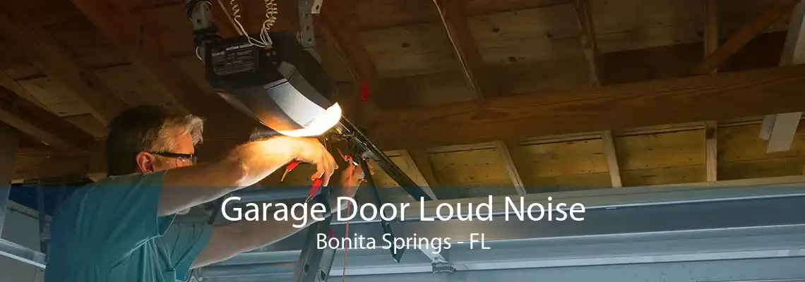 Garage Door Loud Noise Bonita Springs - FL