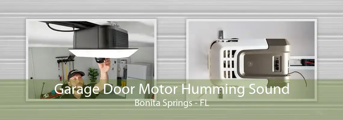 Garage Door Motor Humming Sound Bonita Springs - FL