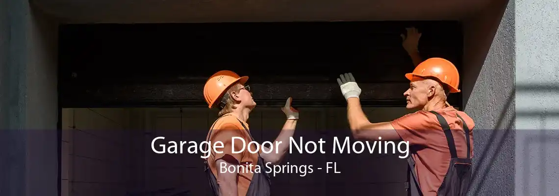 Garage Door Not Moving Bonita Springs - FL