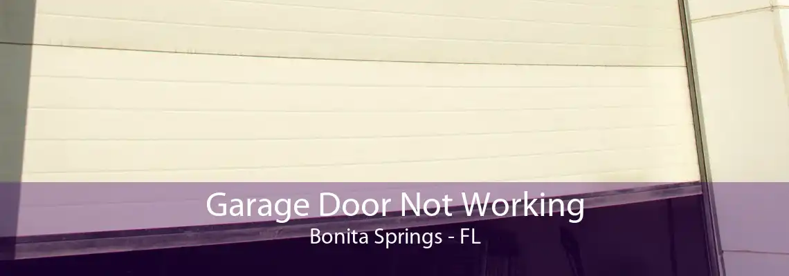 Garage Door Not Working Bonita Springs - FL