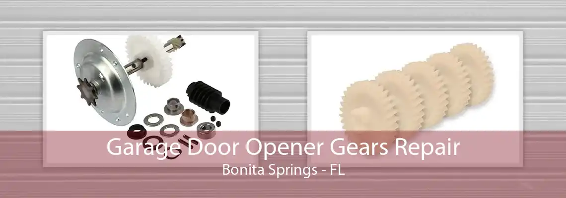 Garage Door Opener Gears Repair Bonita Springs - FL