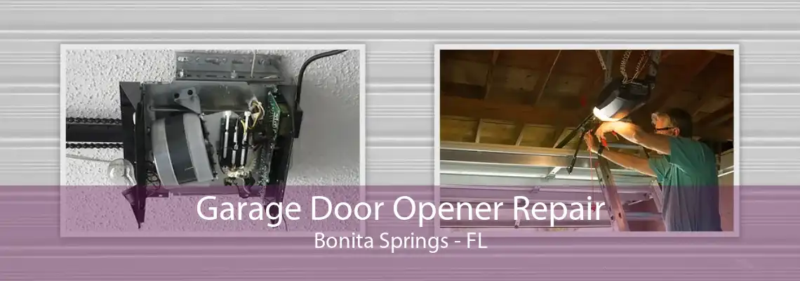 Garage Door Opener Repair Bonita Springs - FL