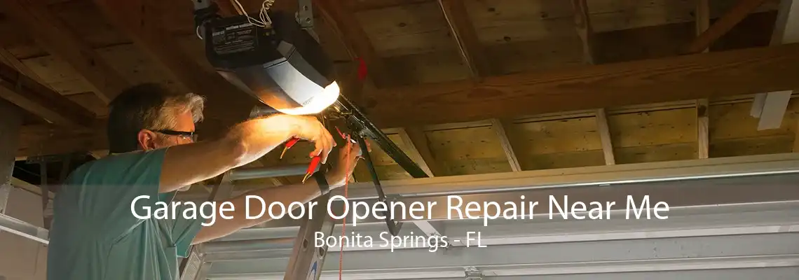 Garage Door Opener Repair Near Me Bonita Springs - FL