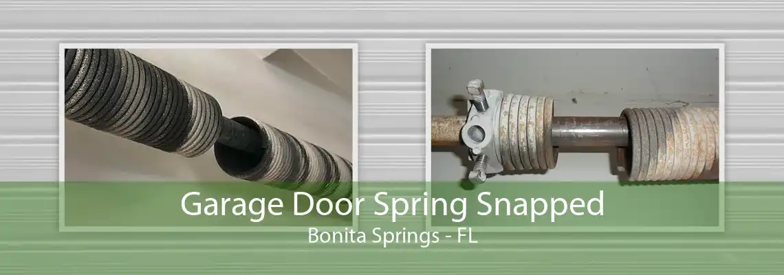 Garage Door Spring Snapped Bonita Springs - FL