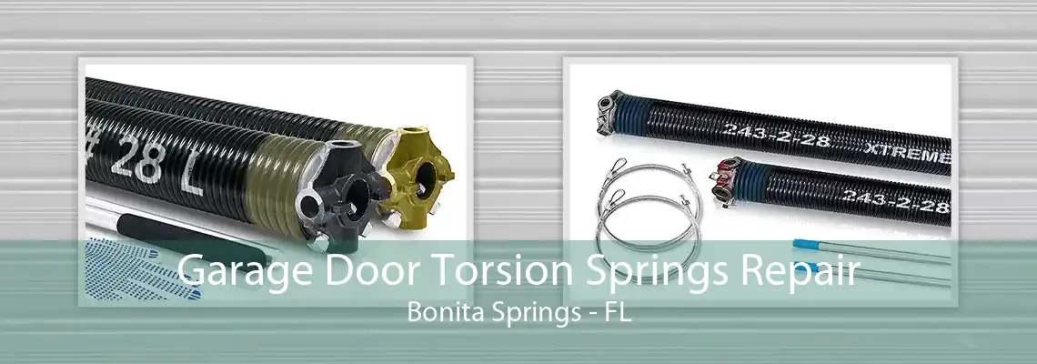 Garage Door Torsion Springs Repair Bonita Springs - FL