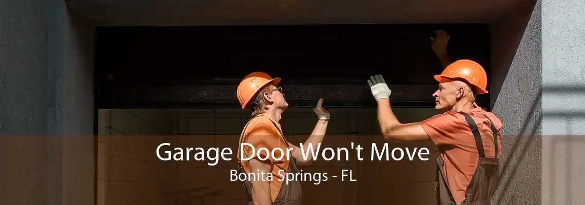 Garage Door Won't Move Bonita Springs - FL