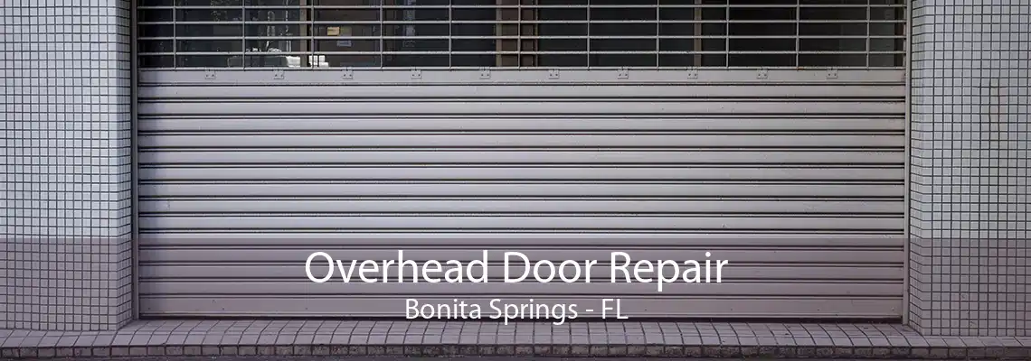 Overhead Door Repair Bonita Springs - FL