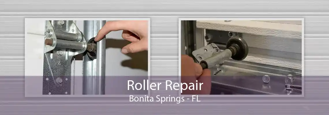 Roller Repair Bonita Springs - FL